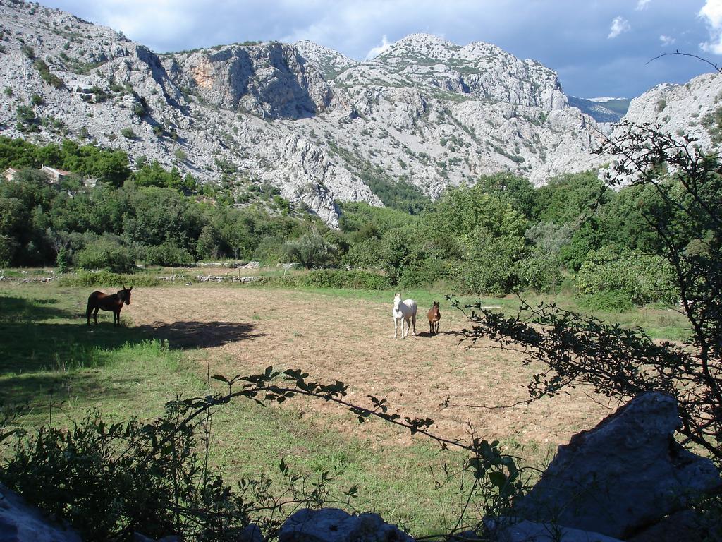 Holiday Home Paklenica Стариград-Пакленица Стая снимка