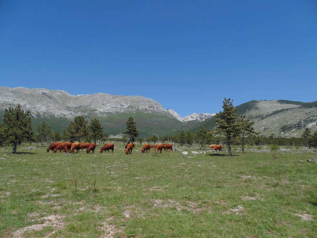 Holiday Home Paklenica Стариград-Пакленица Екстериор снимка