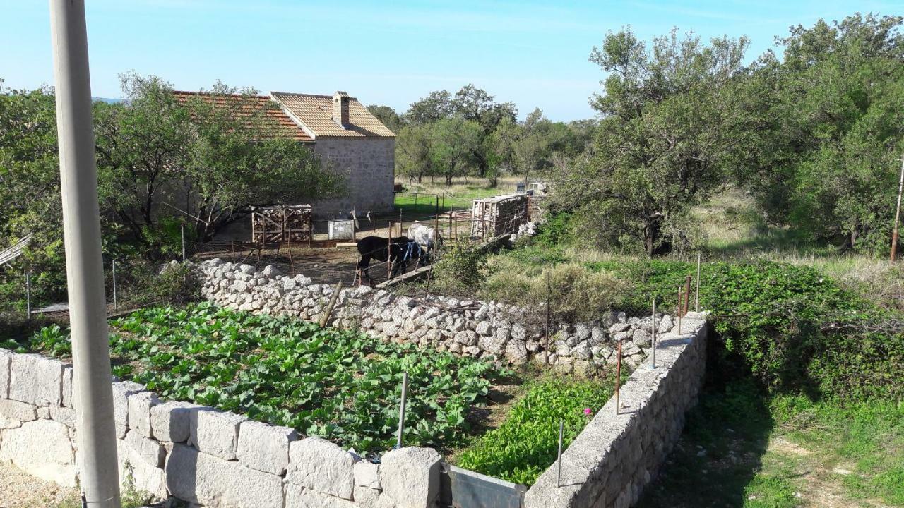 Holiday Home Paklenica Стариград-Пакленица Екстериор снимка